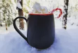 Yaletown Belly Mug in a winter wonderland by Matthew Freed